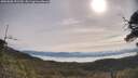 ./images/calvert/fitz-hugh-hecate/20250605/fitz-hugh-hecate20250605_092509M.jpg