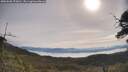 ./images/calvert/fitz-hugh-hecate/20250605/fitz-hugh-hecate20250605_093010M.jpg