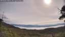 ./images/calvert/fitz-hugh-hecate/20250605/fitz-hugh-hecate20250605_094009M.jpg