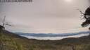 ./images/calvert/fitz-hugh-hecate/20250605/fitz-hugh-hecate20250605_100509M.jpg