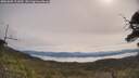 ./images/calvert/fitz-hugh-hecate/20250605/fitz-hugh-hecate20250605_101010M.jpg