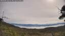 ./images/calvert/fitz-hugh-hecate/20250605/fitz-hugh-hecate20250605_101509M.jpg