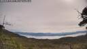 ./images/calvert/fitz-hugh-hecate/20250605/fitz-hugh-hecate20250605_102007M.jpg