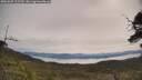 ./images/calvert/fitz-hugh-hecate/20250605/fitz-hugh-hecate20250605_102510M.jpg