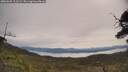 ./images/calvert/fitz-hugh-hecate/20250605/fitz-hugh-hecate20250605_103509M.jpg