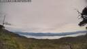 ./images/calvert/fitz-hugh-hecate/20250605/fitz-hugh-hecate20250605_104010M.jpg