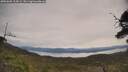./images/calvert/fitz-hugh-hecate/20250605/fitz-hugh-hecate20250605_104508M.jpg