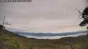 ./images/calvert/fitz-hugh-hecate/20250605/fitz-hugh-hecate20250605_105009M.jpg