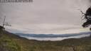 ./images/calvert/fitz-hugh-hecate/20250605/fitz-hugh-hecate20250605_105510M.jpg