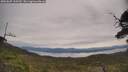 ./images/calvert/fitz-hugh-hecate/20250605/fitz-hugh-hecate20250605_110509M.jpg