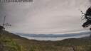 ./images/calvert/fitz-hugh-hecate/20250605/fitz-hugh-hecate20250605_113507M.jpg