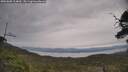 ./images/calvert/fitz-hugh-hecate/20250605/fitz-hugh-hecate20250605_114010M.jpg