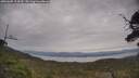./images/calvert/fitz-hugh-hecate/20250605/fitz-hugh-hecate20250605_114510M.jpg