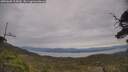 ./images/calvert/fitz-hugh-hecate/20250605/fitz-hugh-hecate20250605_115010M.jpg