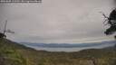 ./images/calvert/fitz-hugh-hecate/20250605/fitz-hugh-hecate20250605_115510M.jpg