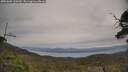 ./images/calvert/fitz-hugh-hecate/20250605/fitz-hugh-hecate20250605_120509M.jpg