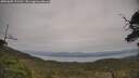./images/calvert/fitz-hugh-hecate/20250605/fitz-hugh-hecate20250605_121511M.jpg