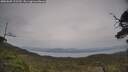 ./images/calvert/fitz-hugh-hecate/20250605/fitz-hugh-hecate20250605_122509M.jpg
