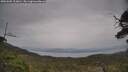 ./images/calvert/fitz-hugh-hecate/20250605/fitz-hugh-hecate20250605_123010M.jpg
