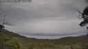 ./images/calvert/fitz-hugh-hecate/20250605/fitz-hugh-hecate20250605_123510M.jpg