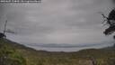 ./images/calvert/fitz-hugh-hecate/20250605/fitz-hugh-hecate20250605_124010M.jpg