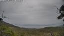 ./images/calvert/fitz-hugh-hecate/20250605/fitz-hugh-hecate20250605_124509M.jpg