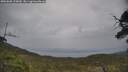 ./images/calvert/fitz-hugh-hecate/20250605/fitz-hugh-hecate20250605_125010M.jpg