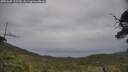 ./images/calvert/fitz-hugh-hecate/20250605/fitz-hugh-hecate20250605_125510M.jpg