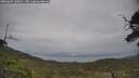 ./images/calvert/fitz-hugh-hecate/20250605/fitz-hugh-hecate20250605_130010M.jpg