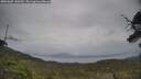 ./images/calvert/fitz-hugh-hecate/20250605/fitz-hugh-hecate20250605_130510M.jpg