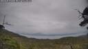 ./images/calvert/fitz-hugh-hecate/20250605/fitz-hugh-hecate20250605_131010M.jpg