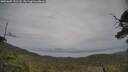 ./images/calvert/fitz-hugh-hecate/20250605/fitz-hugh-hecate20250605_131508M.jpg