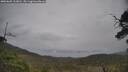 ./images/calvert/fitz-hugh-hecate/20250605/fitz-hugh-hecate20250605_133011M.jpg