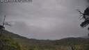 ./images/calvert/fitz-hugh-hecate/20250605/fitz-hugh-hecate20250605_133509M.jpg