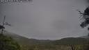 ./images/calvert/fitz-hugh-hecate/20250605/fitz-hugh-hecate20250605_134509M.jpg