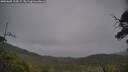 ./images/calvert/fitz-hugh-hecate/20250605/fitz-hugh-hecate20250605_135009M.jpg