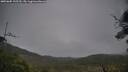 ./images/calvert/fitz-hugh-hecate/20250605/fitz-hugh-hecate20250605_135510M.jpg