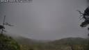 ./images/calvert/fitz-hugh-hecate/20250605/fitz-hugh-hecate20250605_140509M.jpg