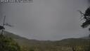 ./images/calvert/fitz-hugh-hecate/20250605/fitz-hugh-hecate20250605_141010M.jpg