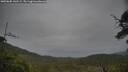 ./images/calvert/fitz-hugh-hecate/20250605/fitz-hugh-hecate20250605_141509M.jpg