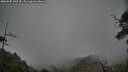 ./images/calvert/fitz-hugh-hecate/20250605/fitz-hugh-hecate20250605_142510M.jpg