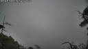 ./images/calvert/fitz-hugh-hecate/20250605/fitz-hugh-hecate20250605_143010M.jpg