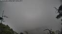 ./images/calvert/fitz-hugh-hecate/20250605/fitz-hugh-hecate20250605_143509M.jpg