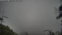 ./images/calvert/fitz-hugh-hecate/20250605/fitz-hugh-hecate20250605_144010M.jpg
