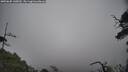 ./images/calvert/fitz-hugh-hecate/20250605/fitz-hugh-hecate20250605_145010M.jpg
