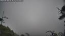 ./images/calvert/fitz-hugh-hecate/20250605/fitz-hugh-hecate20250605_150508M.jpg