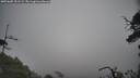 ./images/calvert/fitz-hugh-hecate/20250605/fitz-hugh-hecate20250605_151509M.jpg