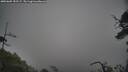 ./images/calvert/fitz-hugh-hecate/20250605/fitz-hugh-hecate20250605_152507M.jpg