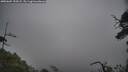./images/calvert/fitz-hugh-hecate/20250605/fitz-hugh-hecate20250605_155008M.jpg