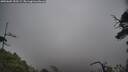 ./images/calvert/fitz-hugh-hecate/20250605/fitz-hugh-hecate20250605_155509M.jpg